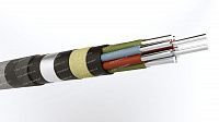 Кабель АКРНБ 10х6